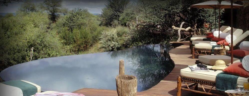 Sanctuary Makanyane Safari Lodge Заповедник Мадикве Экстерьер фото
