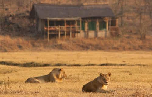Sanctuary Makanyane Safari Lodge Заповедник Мадикве Экстерьер фото