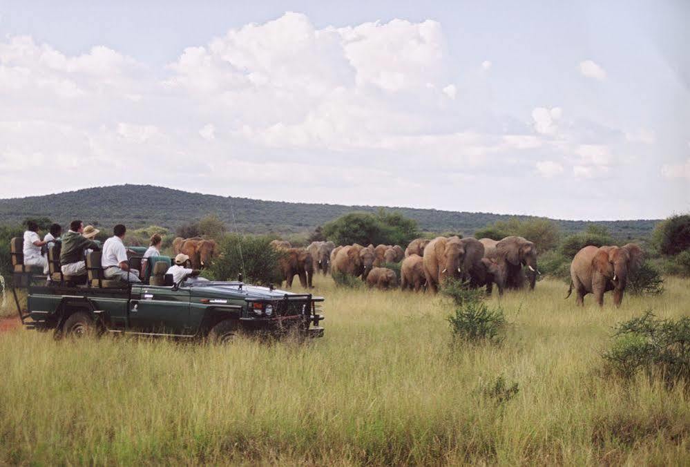 Sanctuary Makanyane Safari Lodge Заповедник Мадикве Экстерьер фото